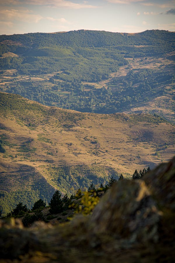 Pic1